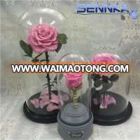 long lasting eternal preserved flowers rose in glass, 30*15cm flower glass dome