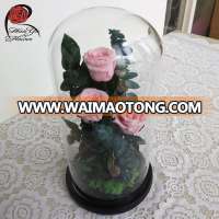 Inartificial decorative Preserved flowers in glass dome as gifts