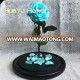 Hand made Preserved Rose Crafts Luxury Preserved flower in mirror glass