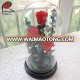 Yunnan A grade long lasting saving real roses in glass dome wholesale preserved rose flower